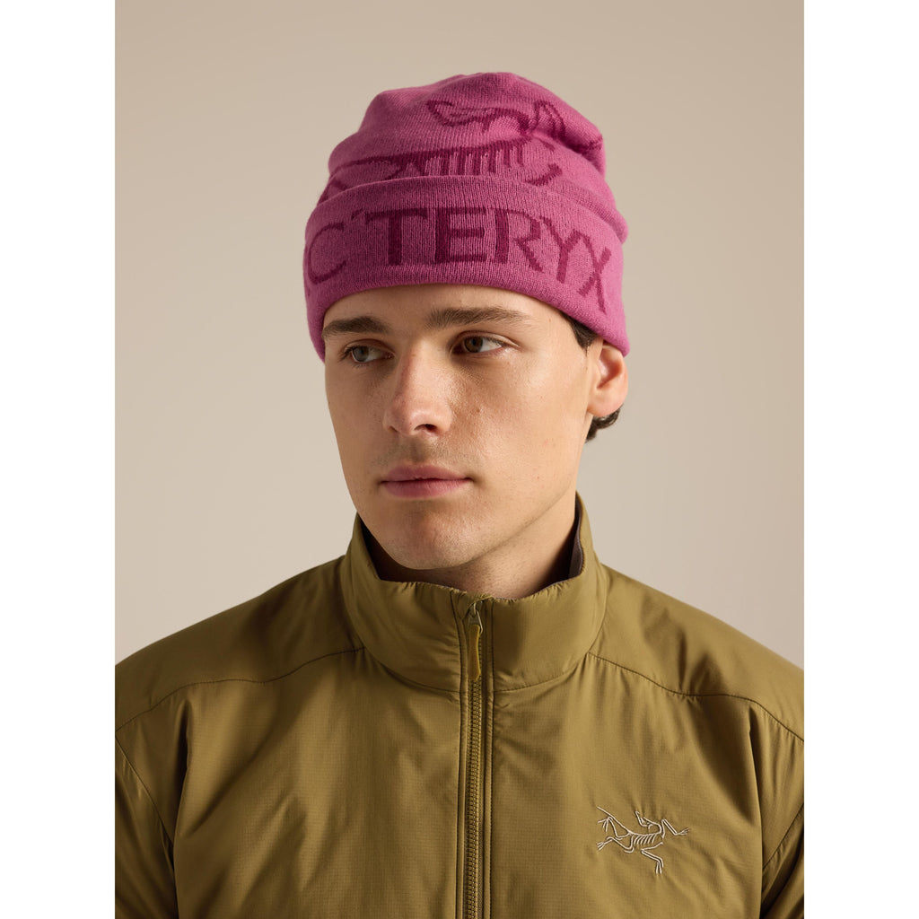 Arc'teryx Bird Word Toque