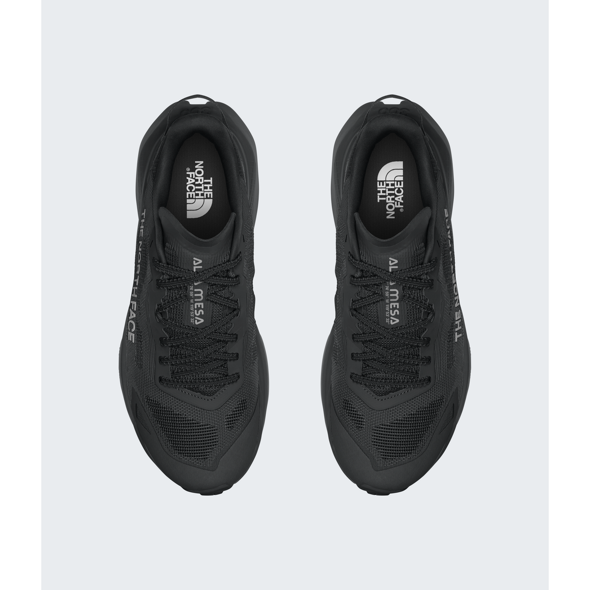 The North Face Women's Altamesa 300 V2 Shoes